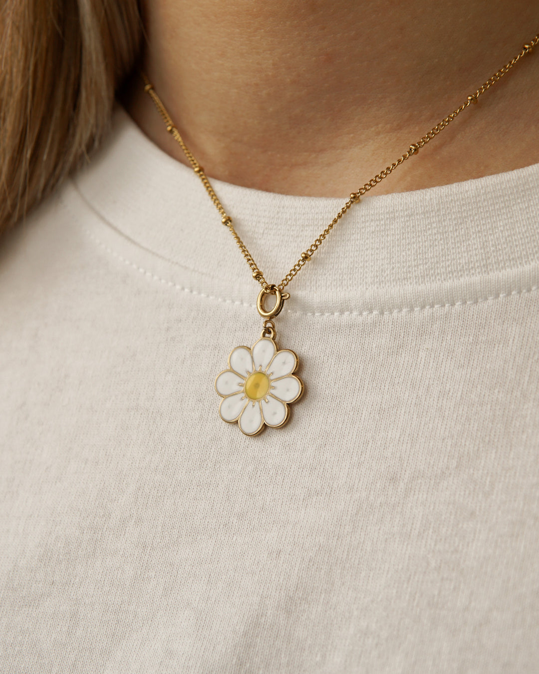 Daisy ☼ Charm