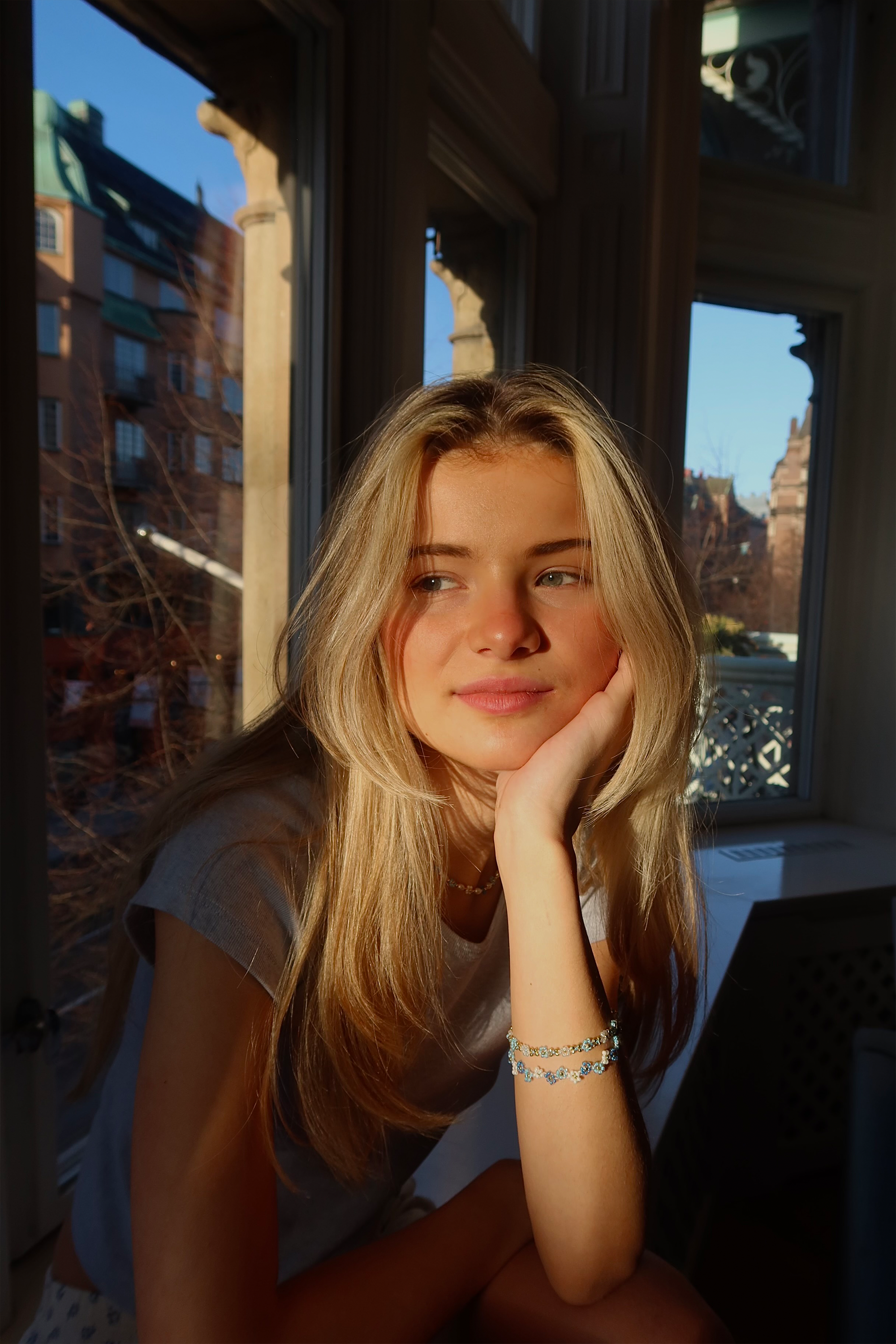 Model Desktop